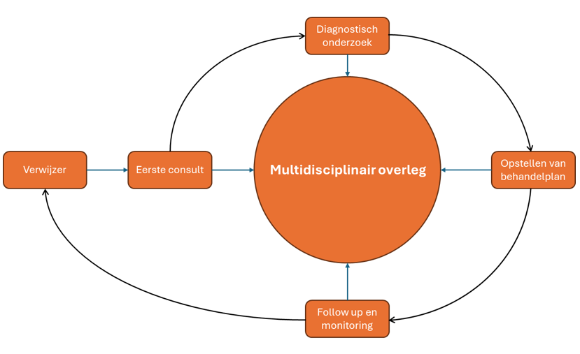 Afbeelding met tekst, cirkel, diagram, schermopname